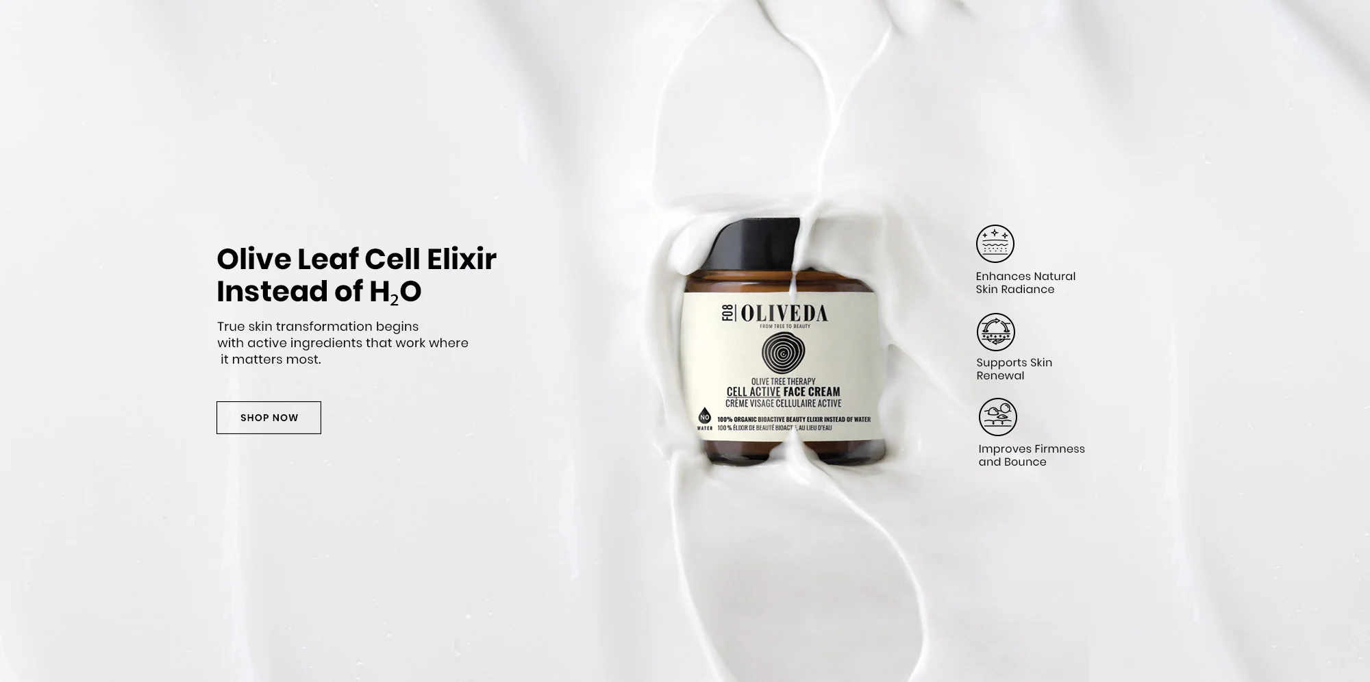 Beauty Born From Olive Trees